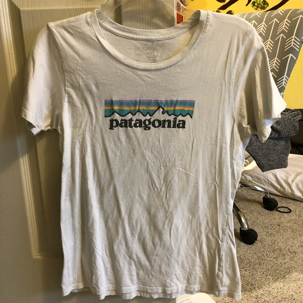 patagonia tee